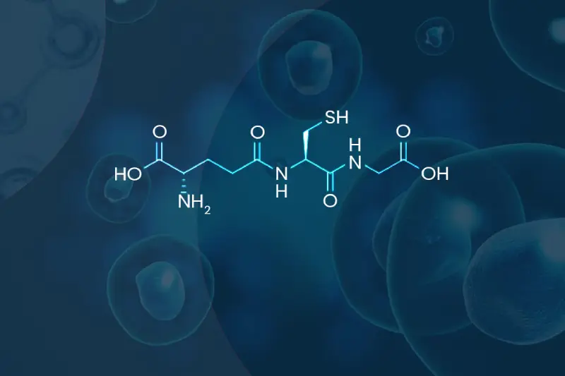 glutation_3822