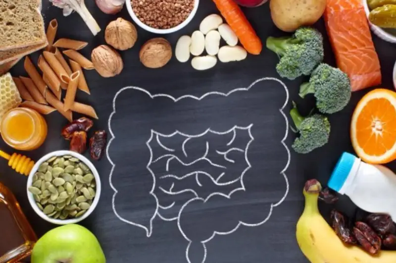 ¿Para qué sirven las enzimas digestivas?