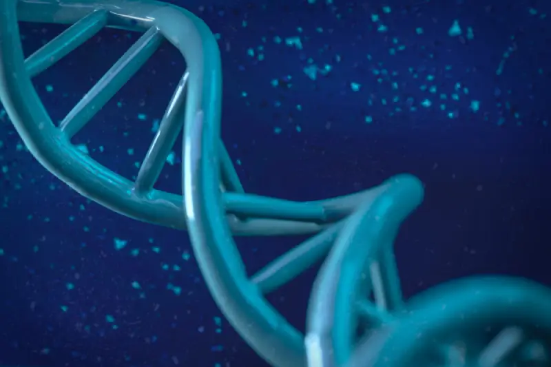 Colágeno « tipo 2 »: ¿por qué esta información no es relevante?