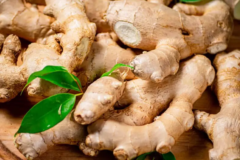 ¿Cuál es la diferencia entre ginseng y jengibre?