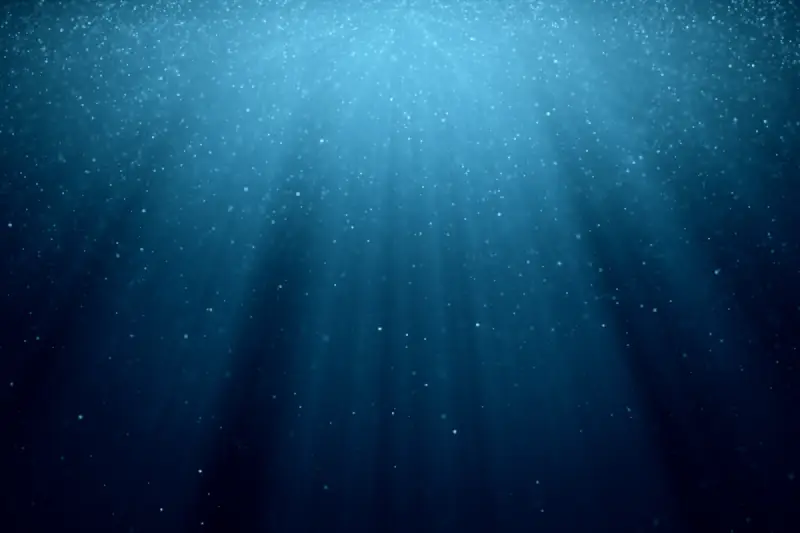 ¿Qué es el magnesio marino y para qué sirve?